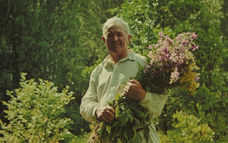 Аркадий Пластов – великий русский художник