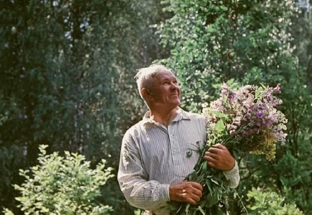Академик Аркадий Пластов